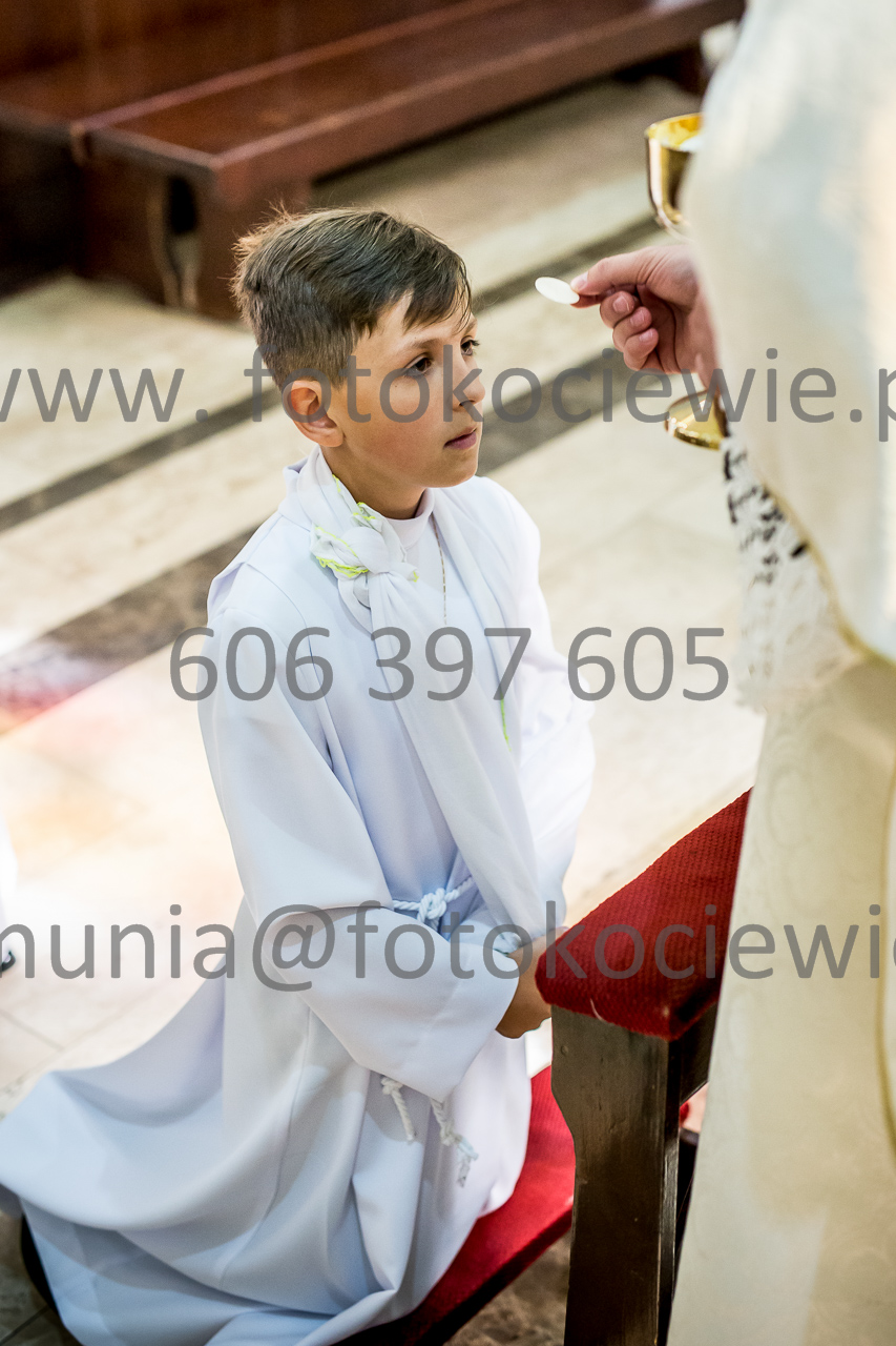 600_IMG_0782