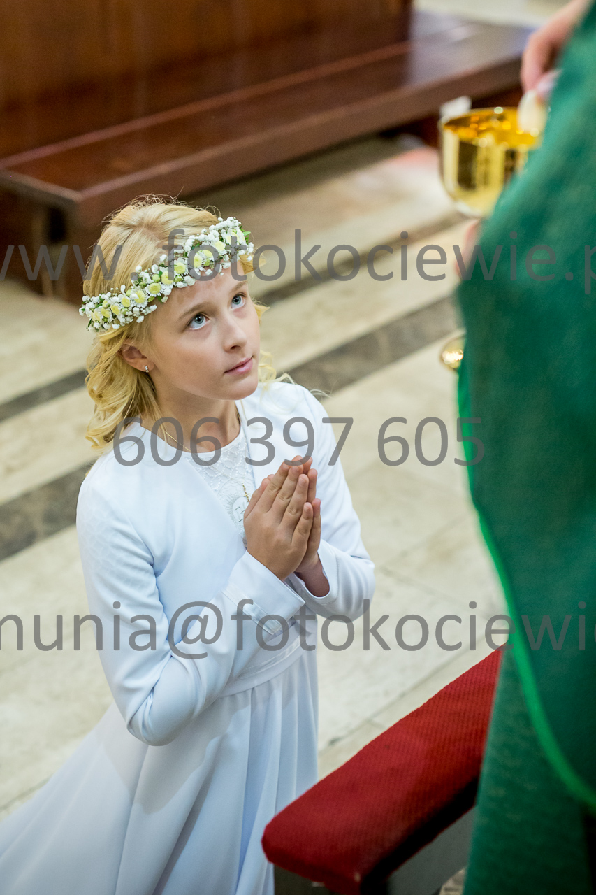 381_IMG_1278