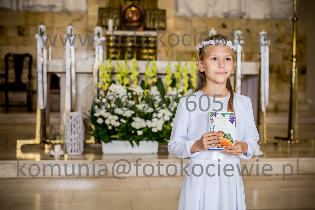 556_IMG_1517