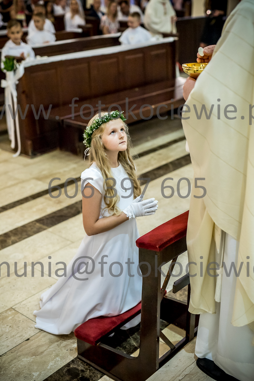 355_IMG_0060