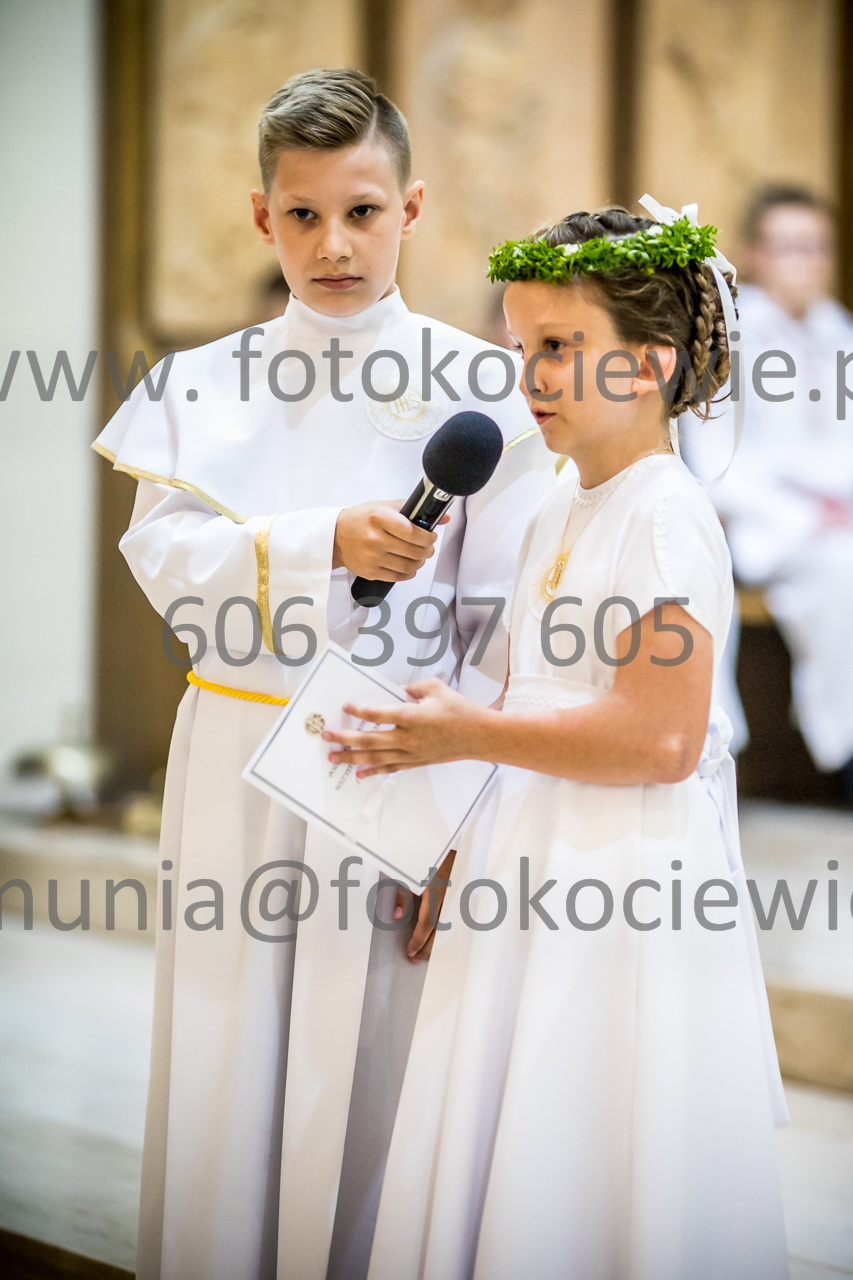 484_IMG_0194