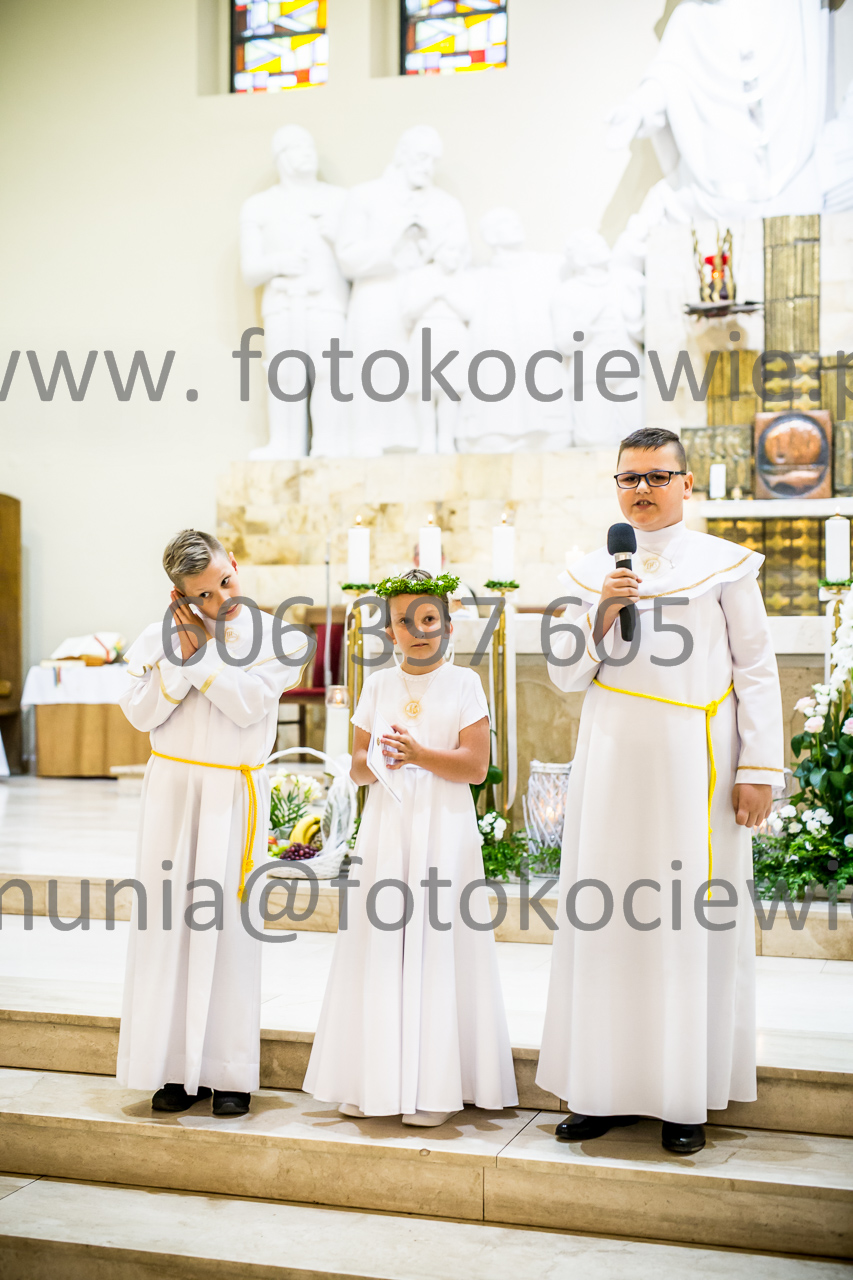 480_IMG_9480
