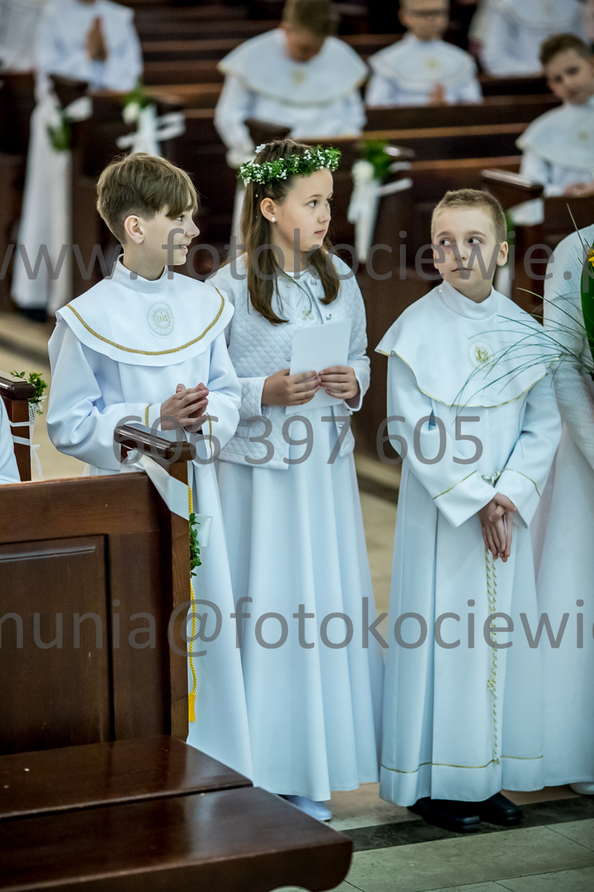 534_IMG_3264