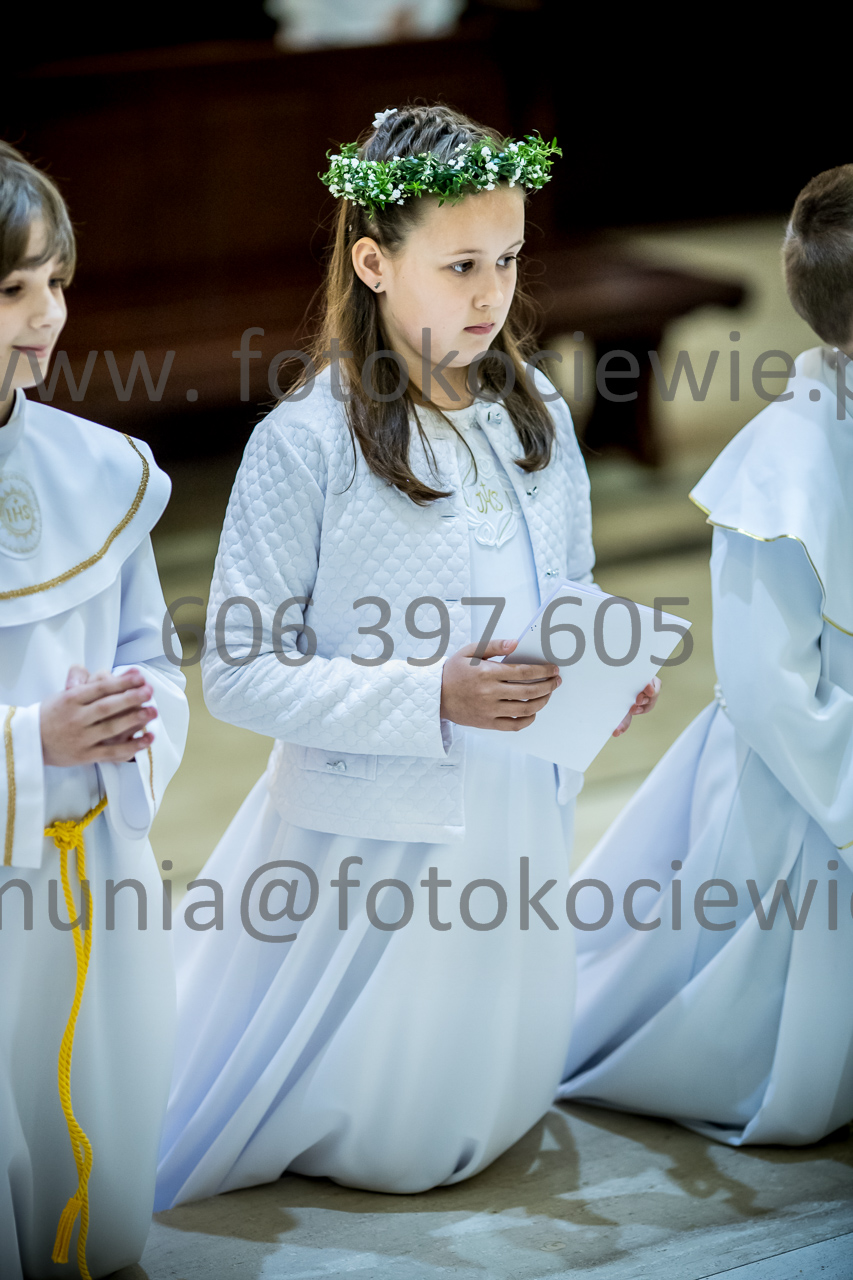540_IMG_3266