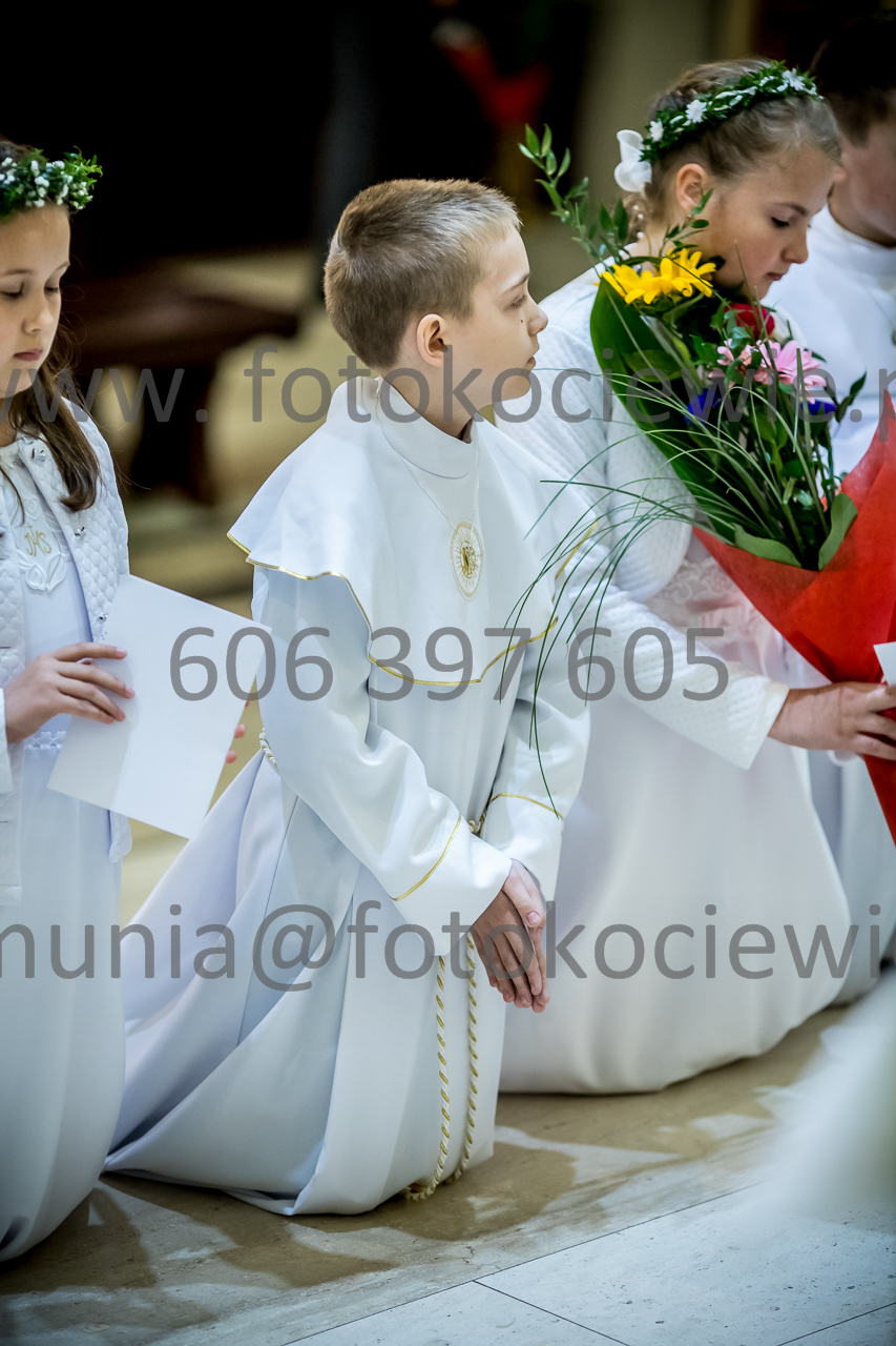 541_IMG_3267