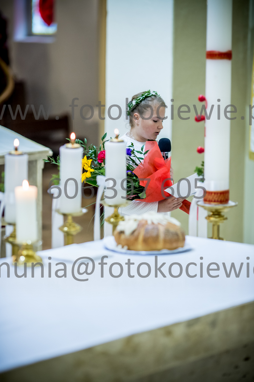546_IMG_3272