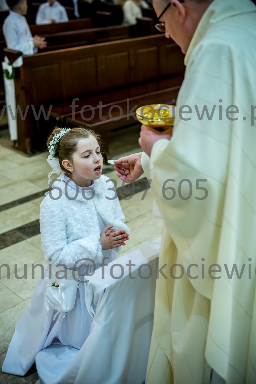 450_IMG_3763