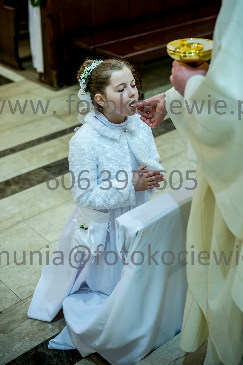 451_IMG_3764