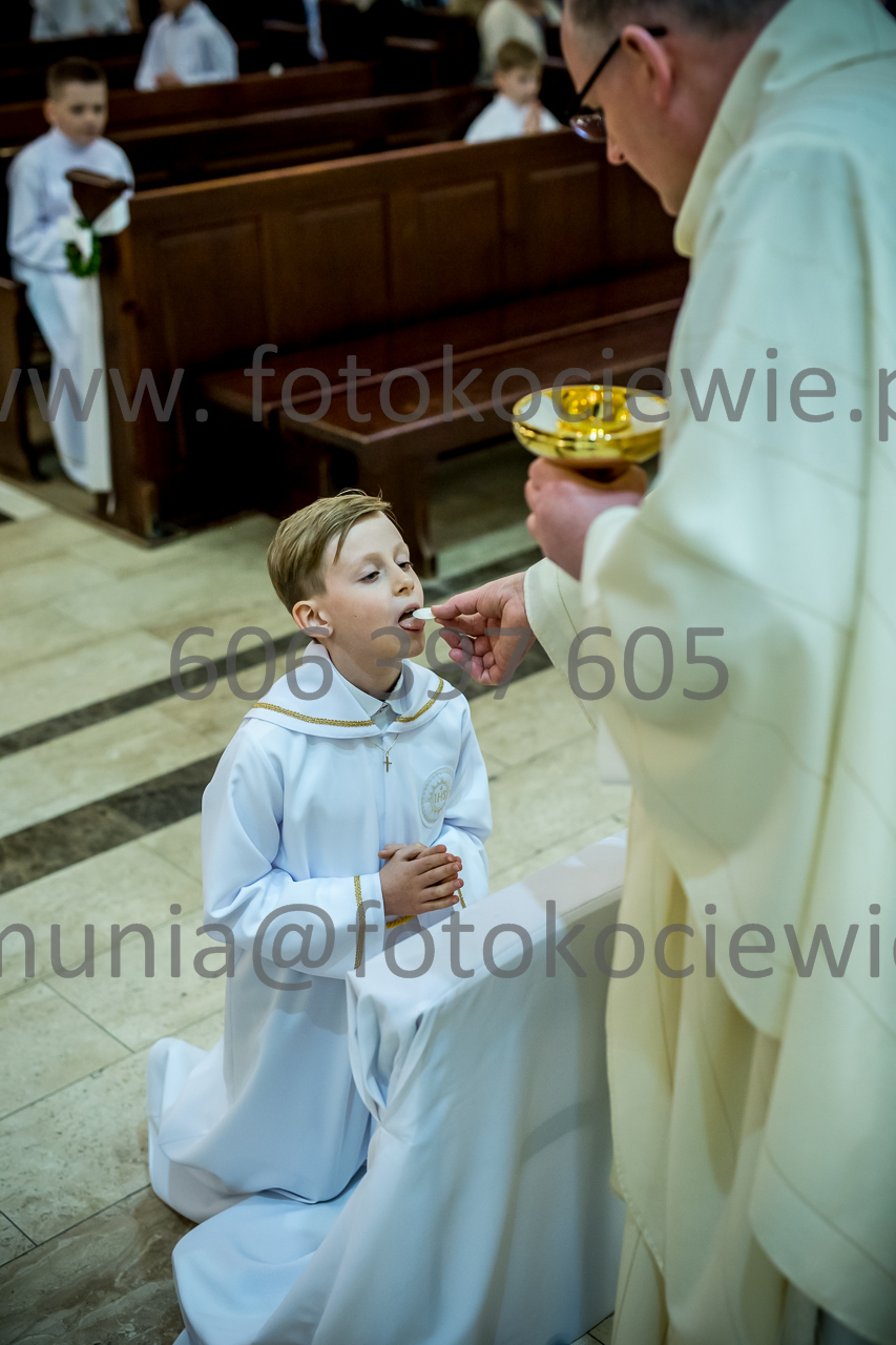 455_IMG_3768