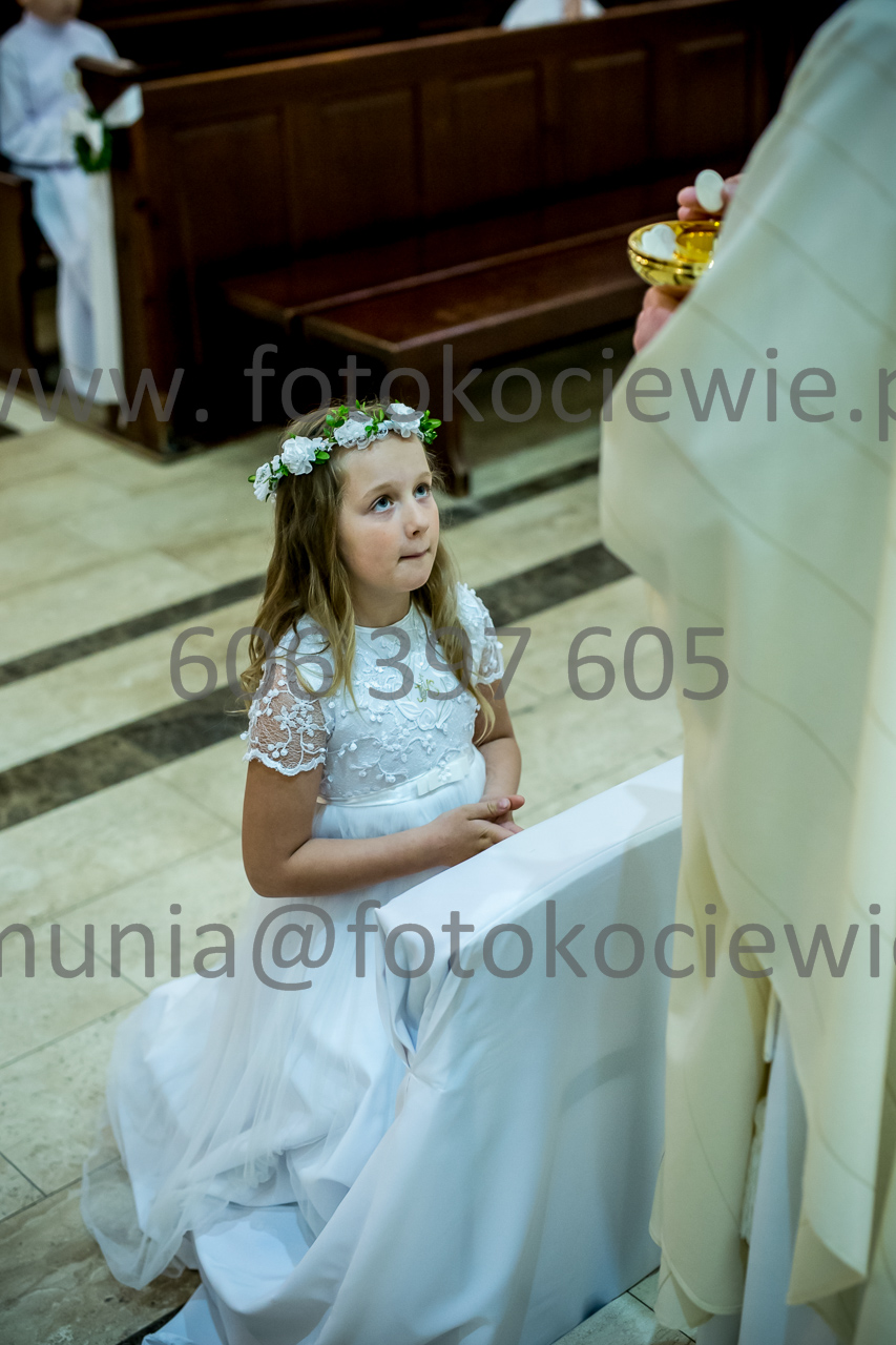 456_IMG_3769