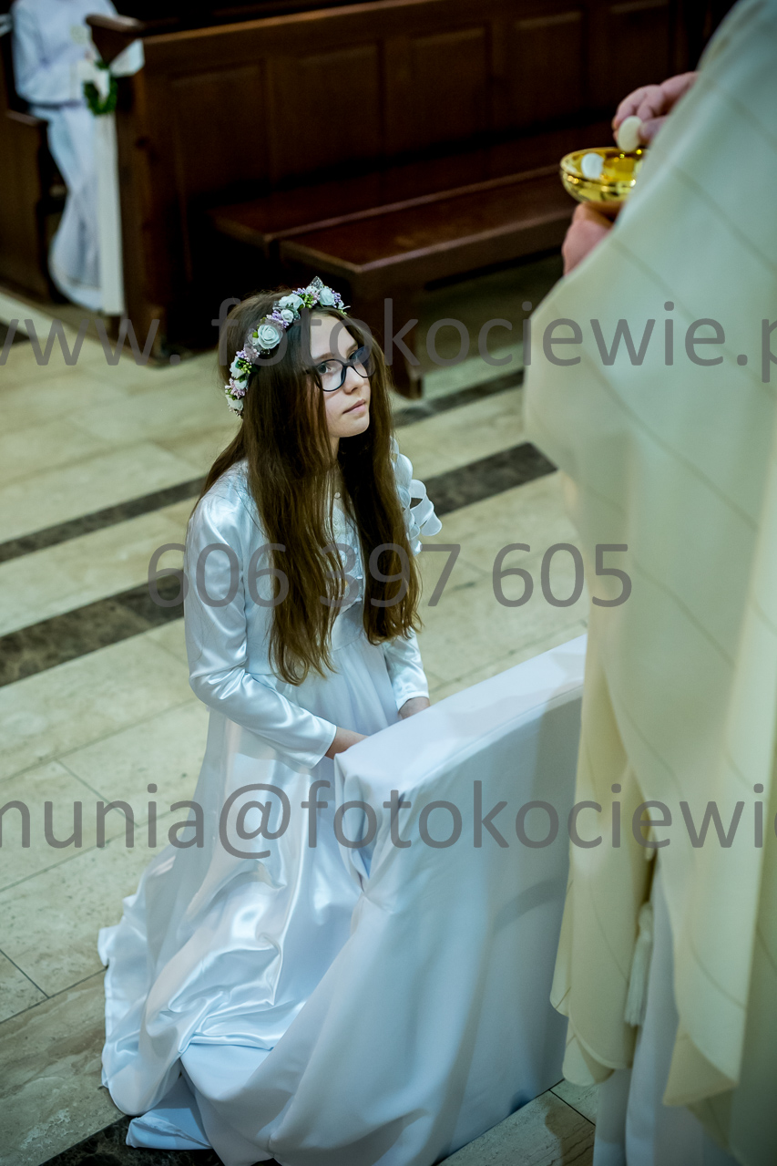 459_IMG_3772