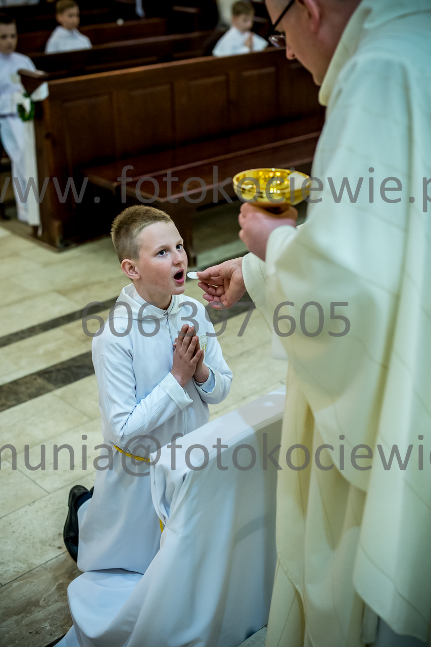 466_IMG_3779