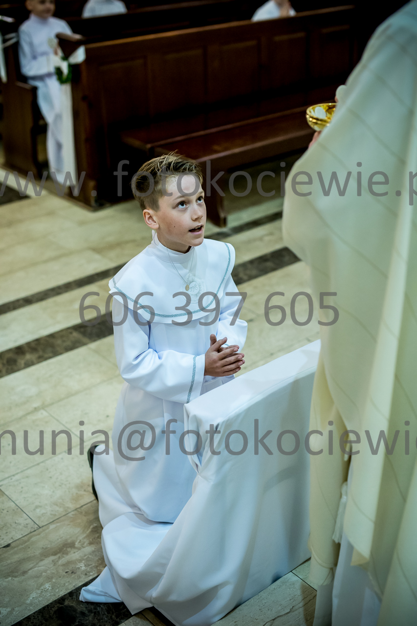 477_IMG_3790