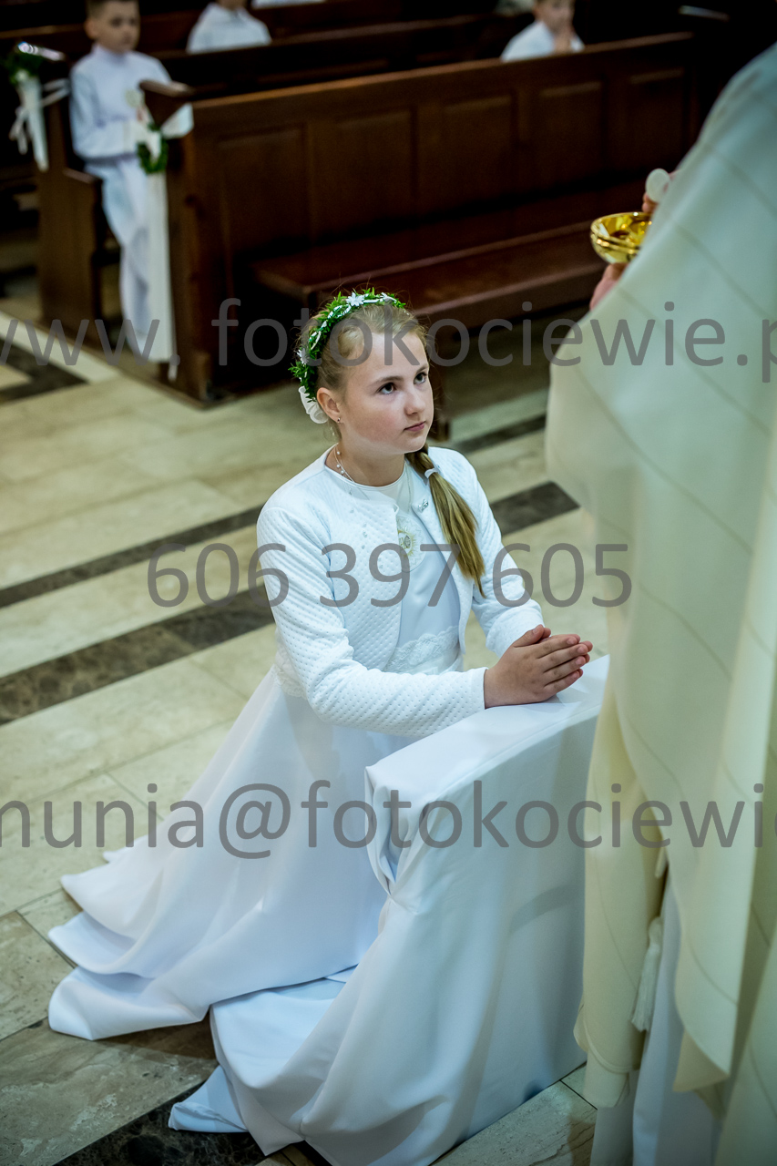 481_IMG_3794