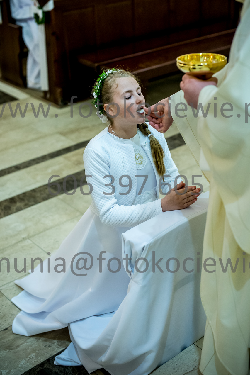 484_IMG_3797