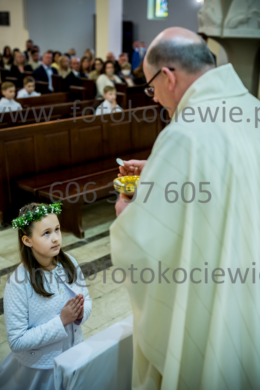 486_IMG_3799