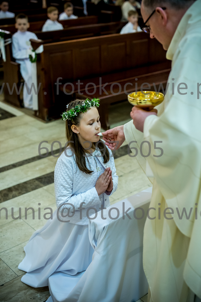 487_IMG_3800