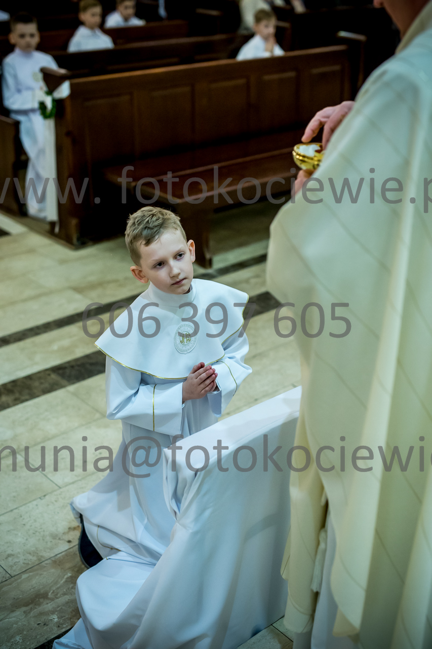 488_IMG_3801