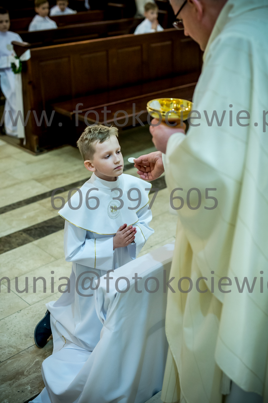 490_IMG_3803