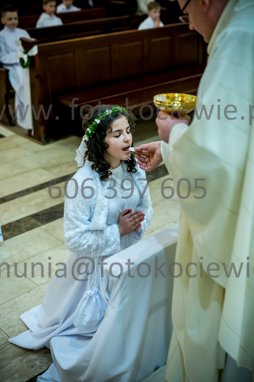 497_IMG_3810