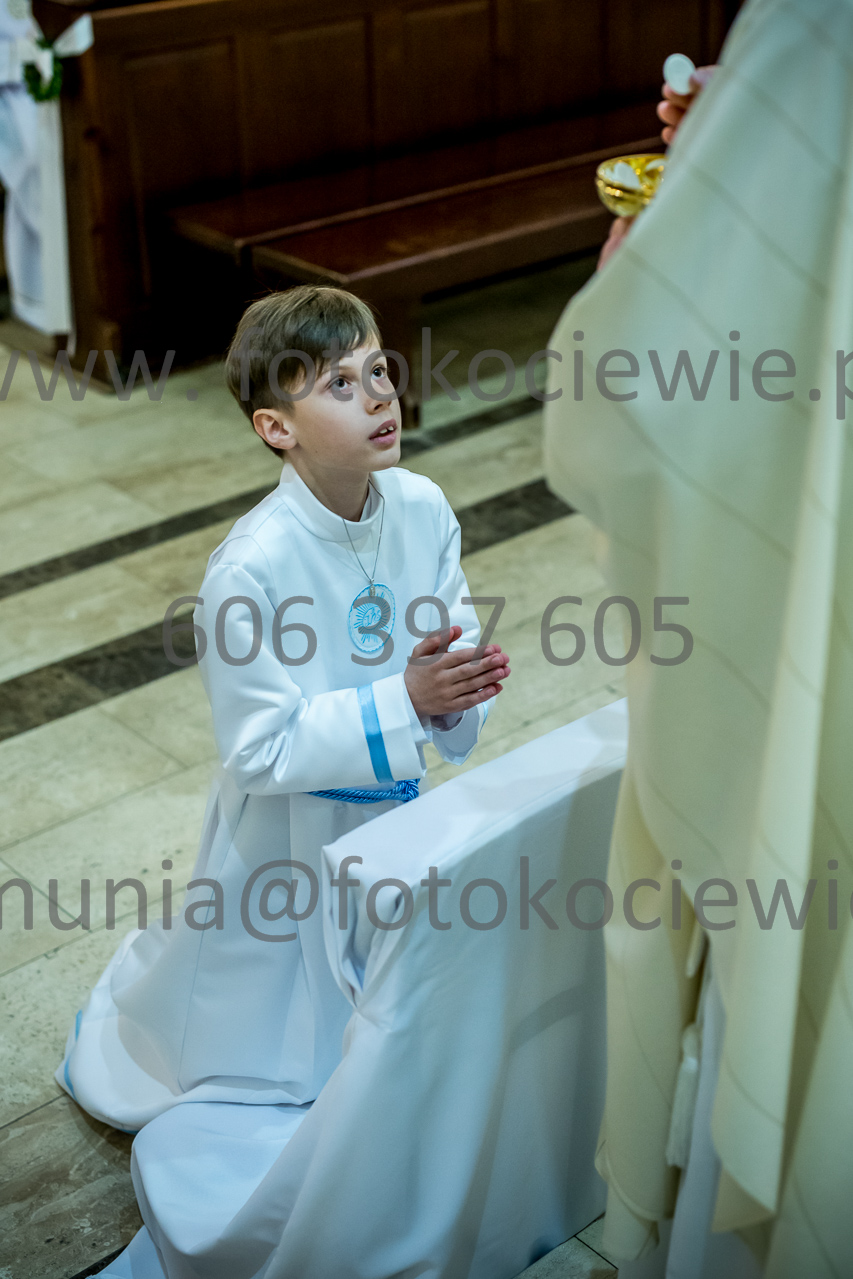 498_IMG_3811