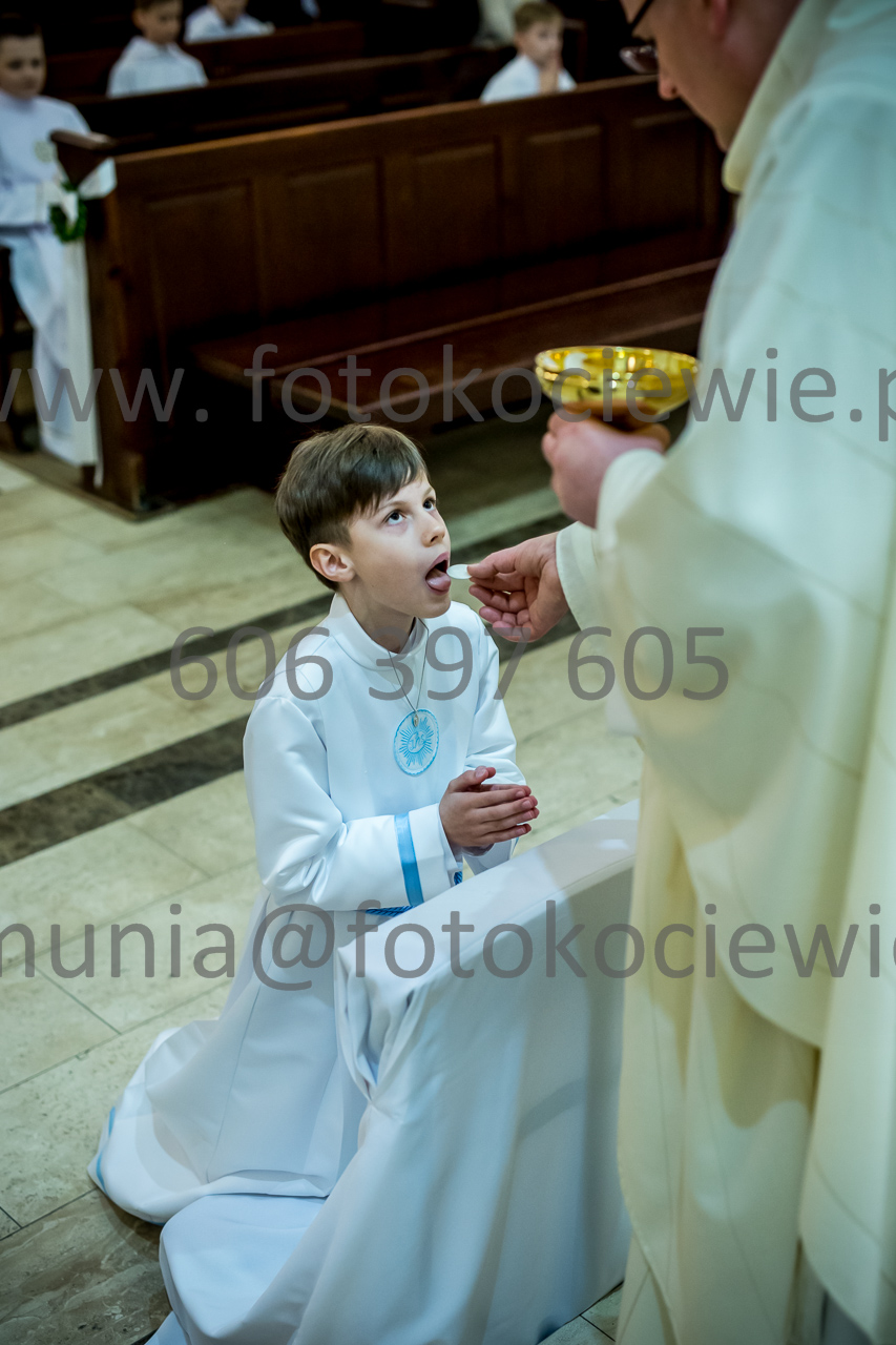 499_IMG_3813