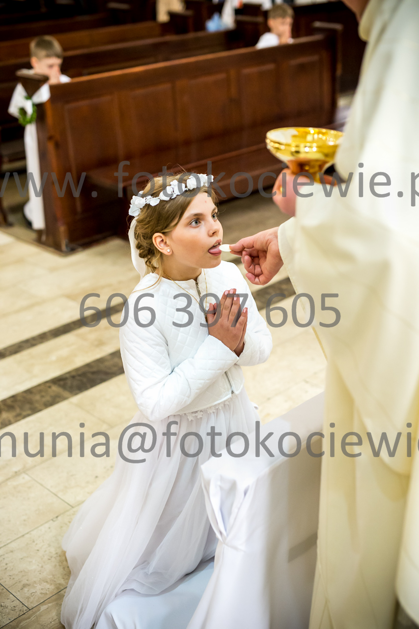 466_IMG_4137
