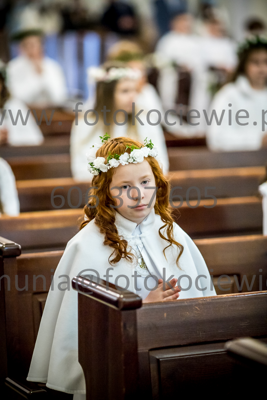 252_IMG_3556