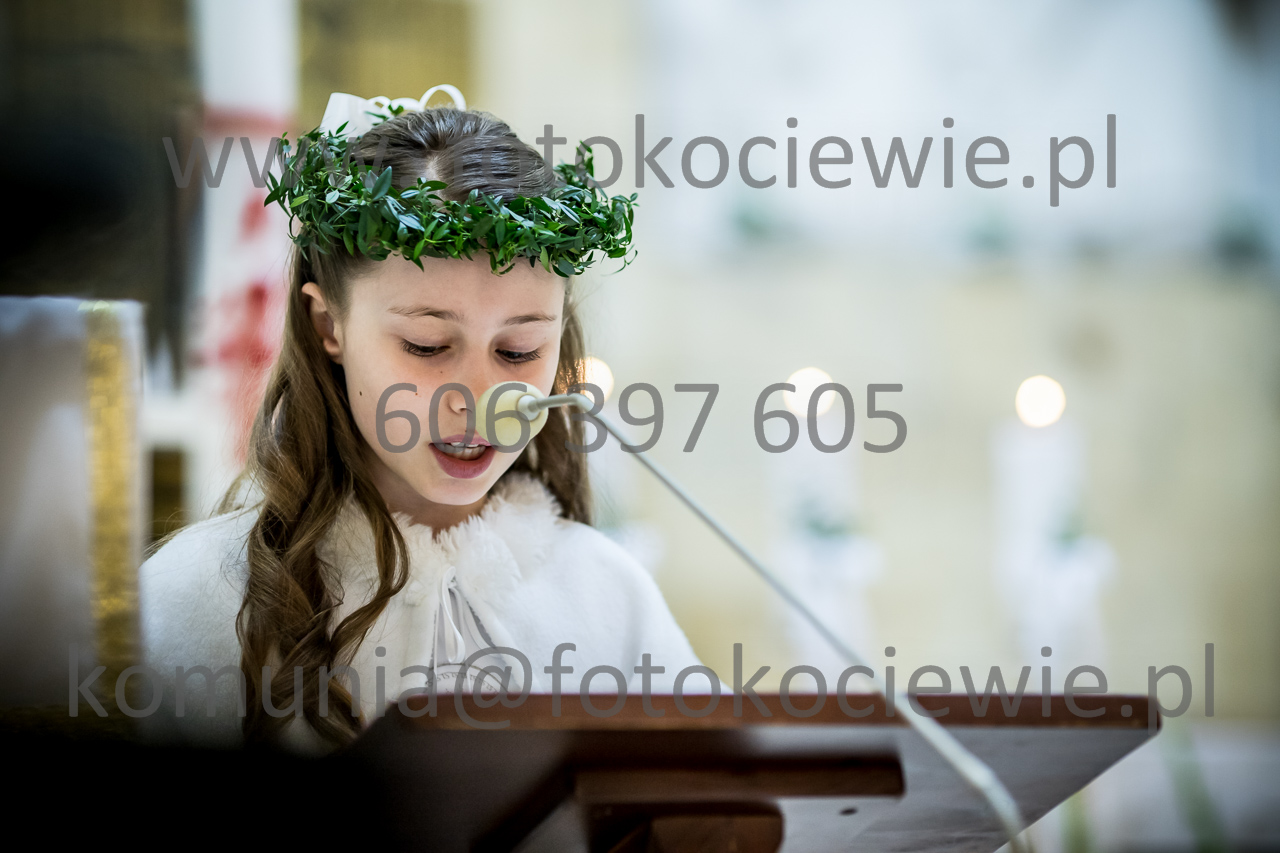 485_IMG_3678
