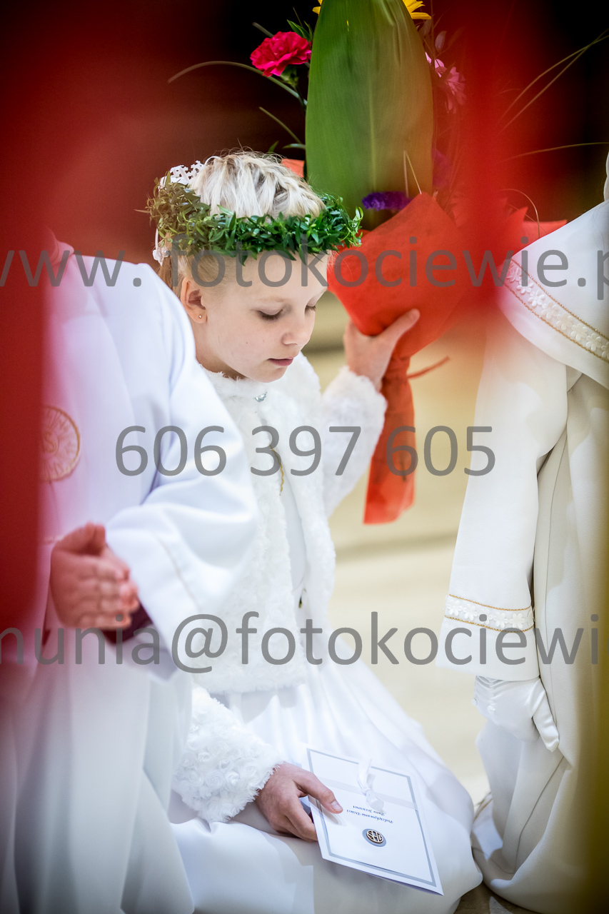 686_IMG_3713