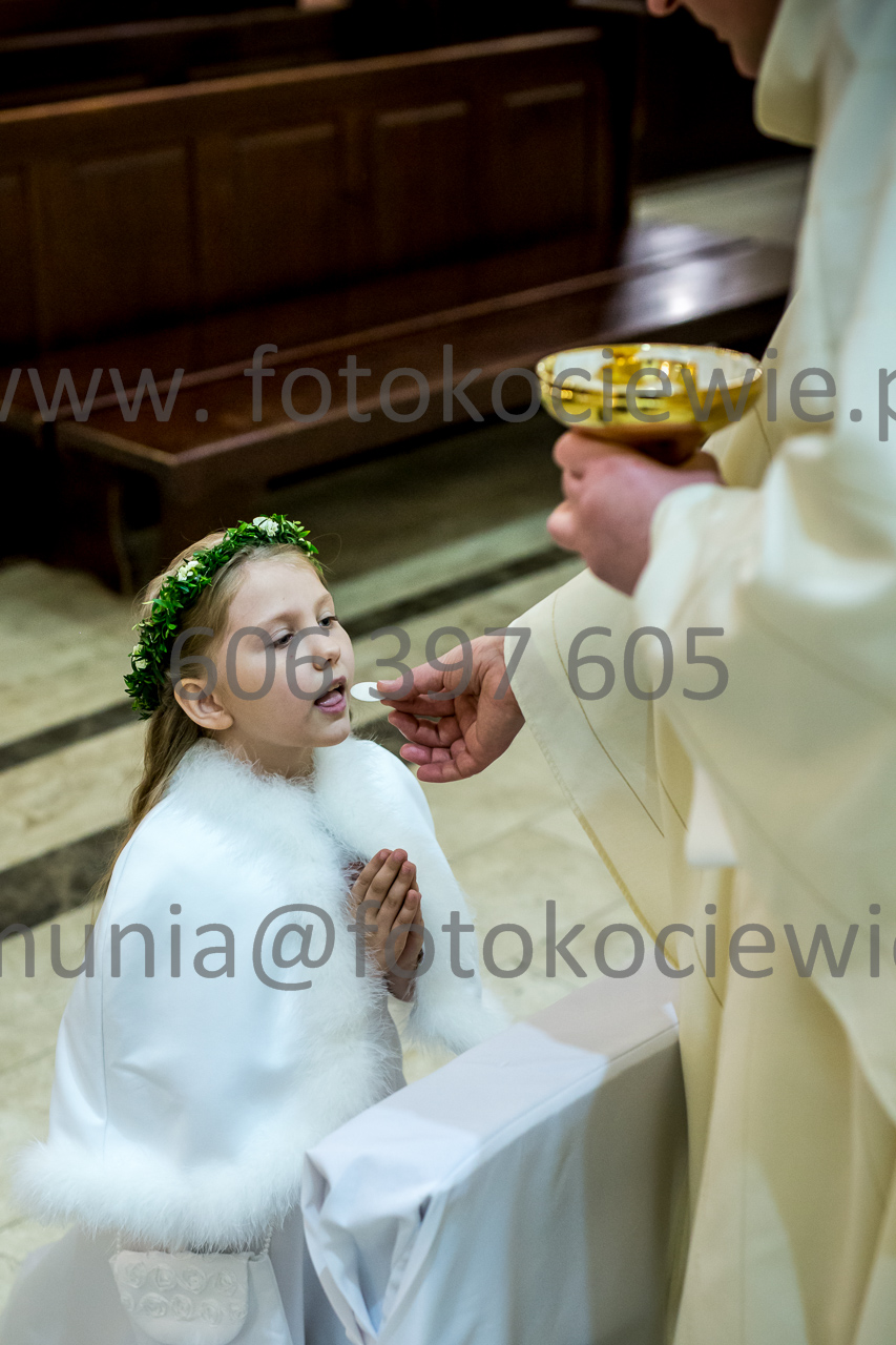 512_IMG_4609