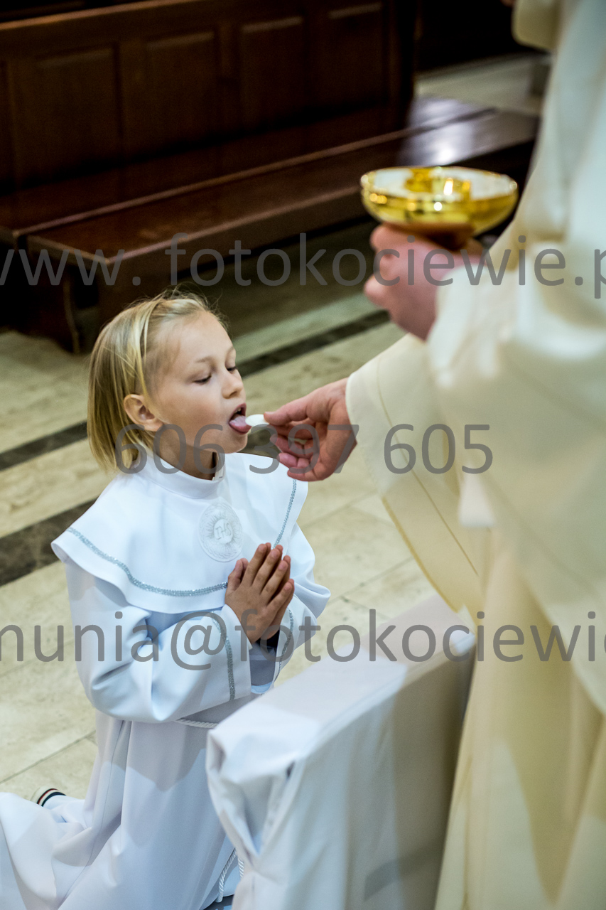 515_IMG_4612