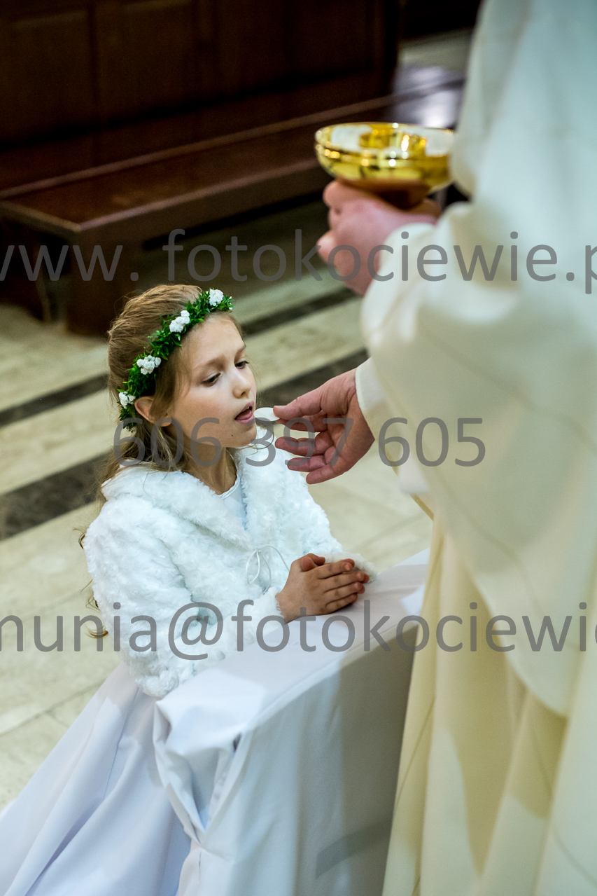 521_IMG_4619