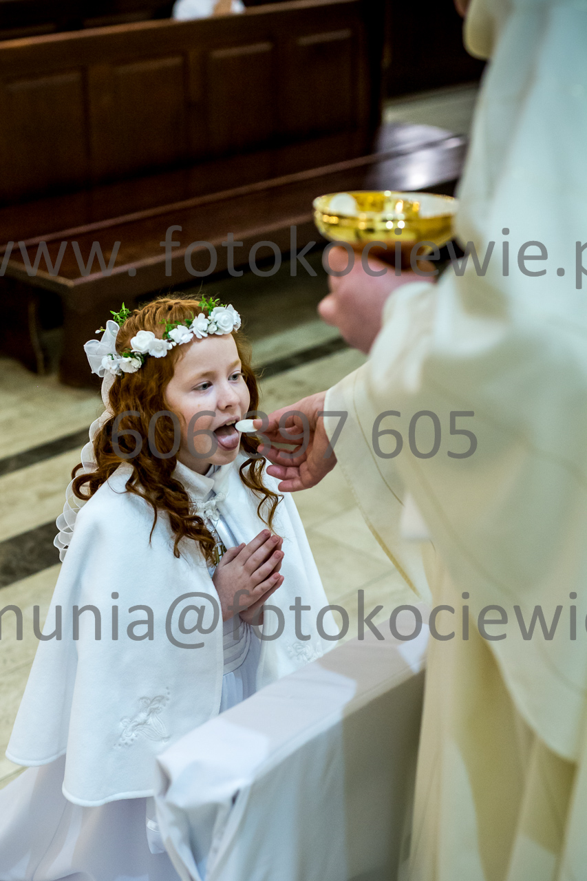 530_IMG_4628