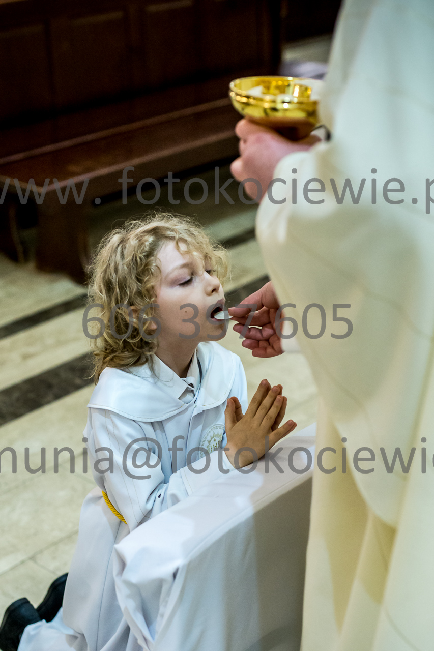 533_IMG_4631
