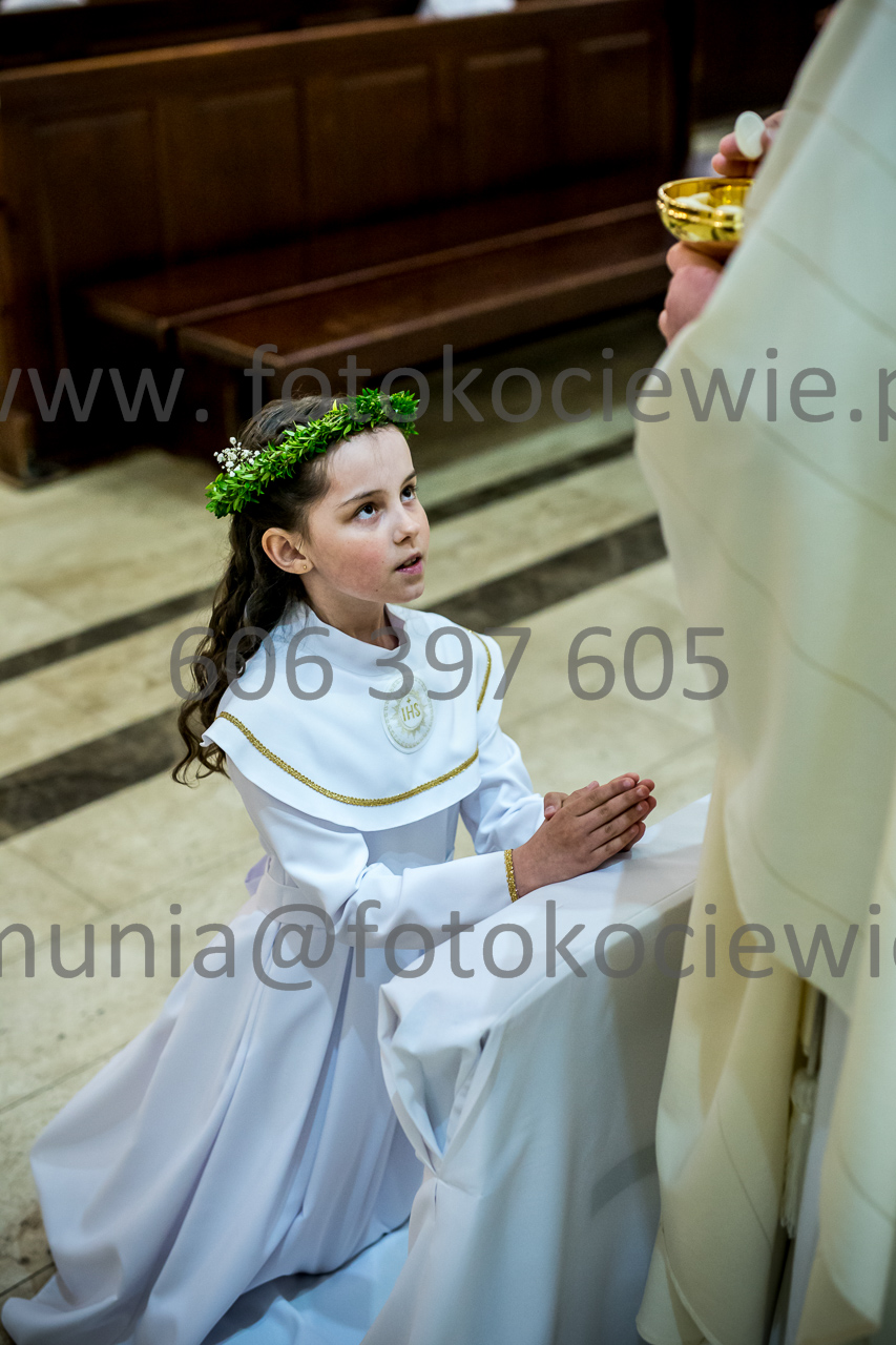 537_IMG_4635