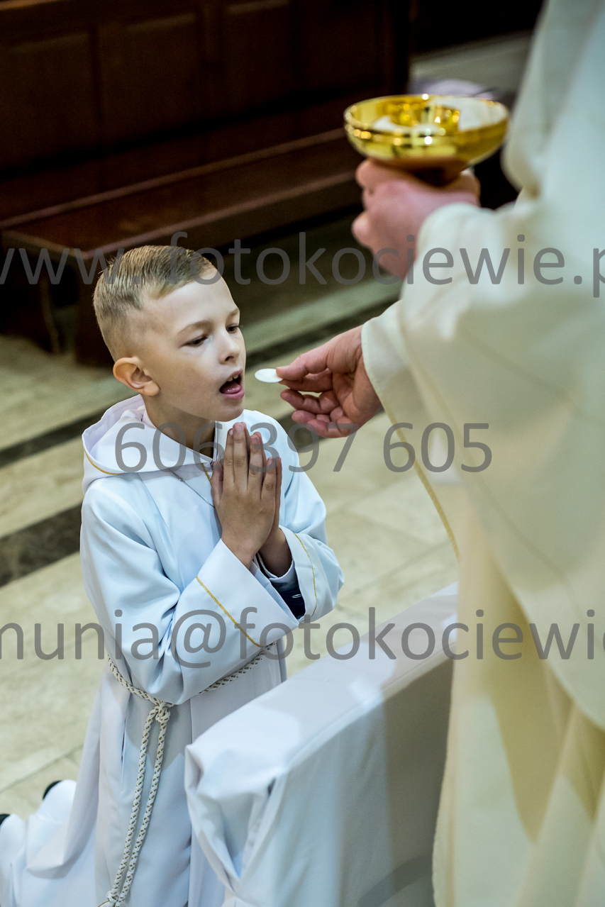542_IMG_4640