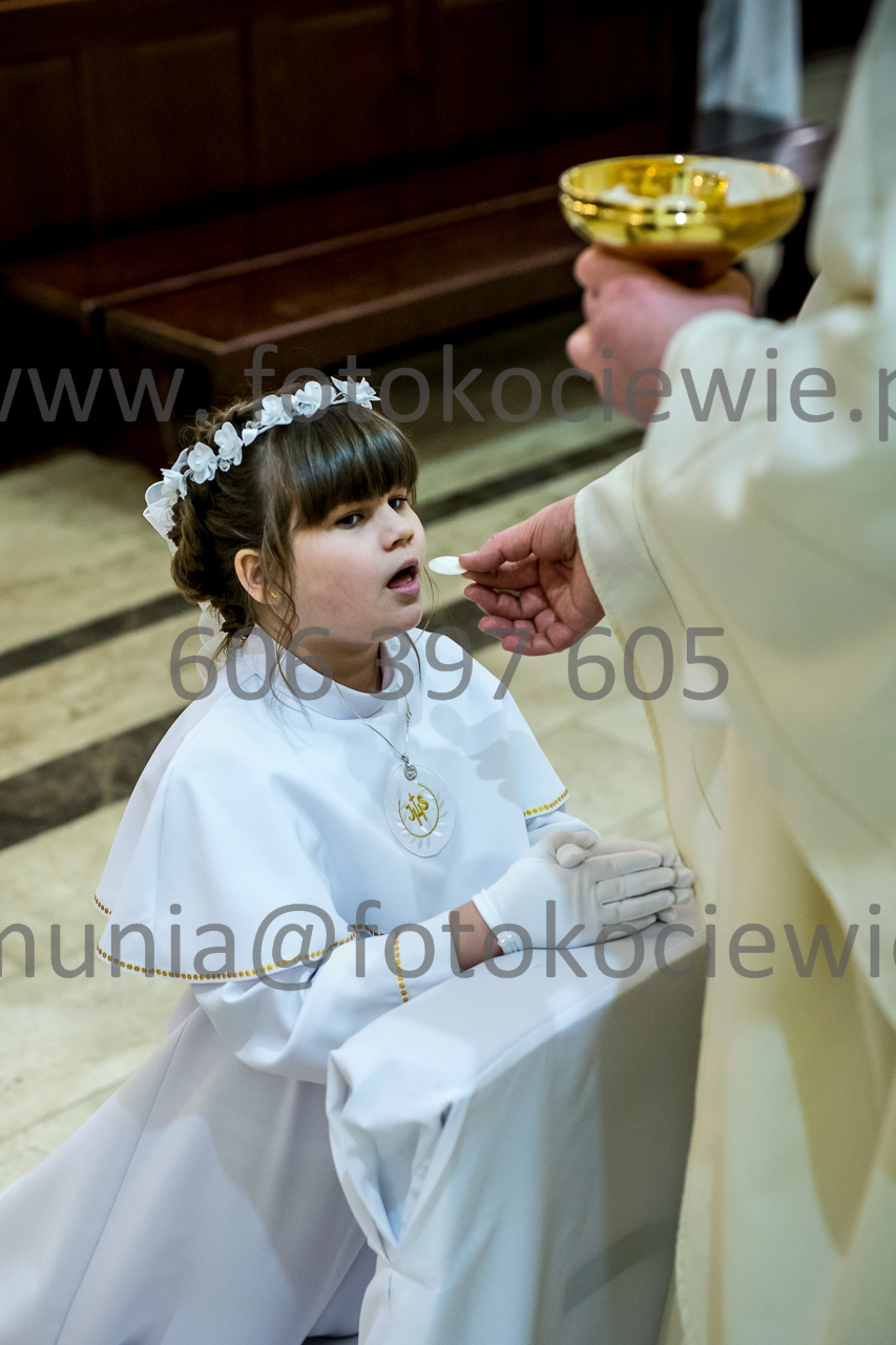 545_IMG_4643
