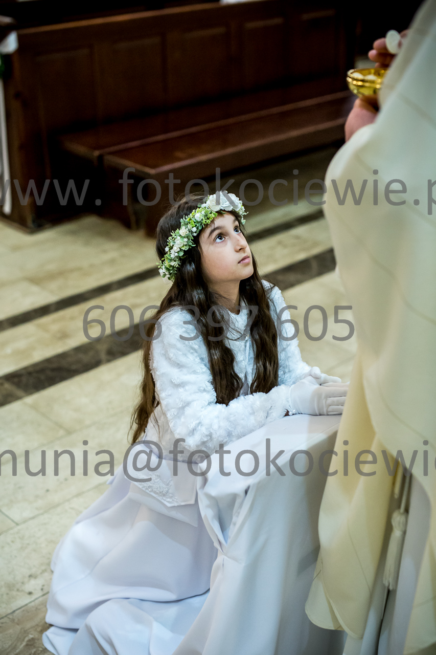 546_IMG_4644