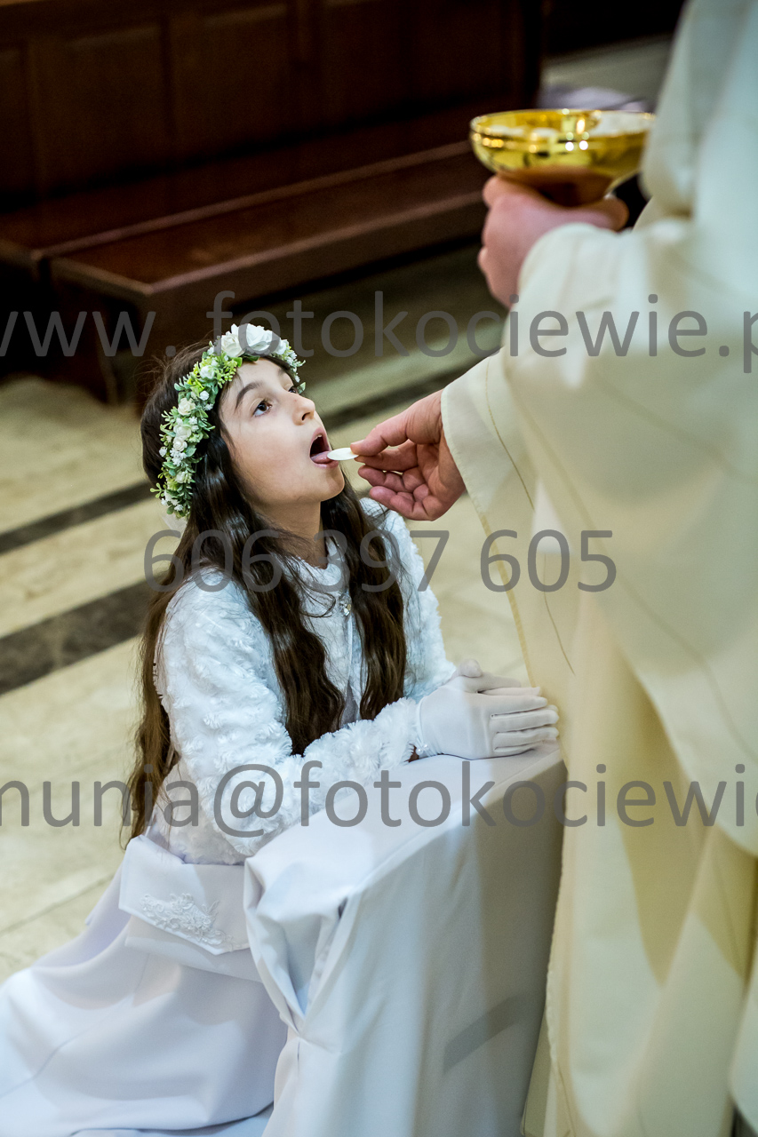 548_IMG_4646