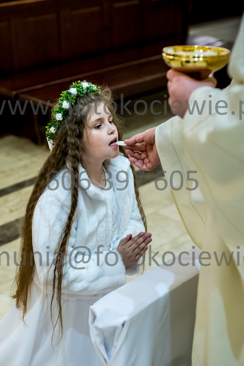 560_IMG_4658