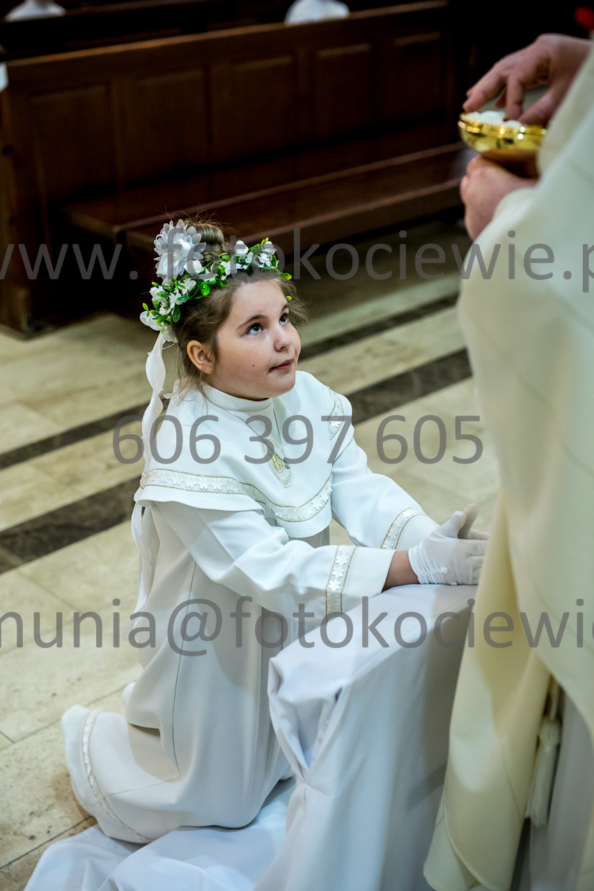 561_IMG_4659