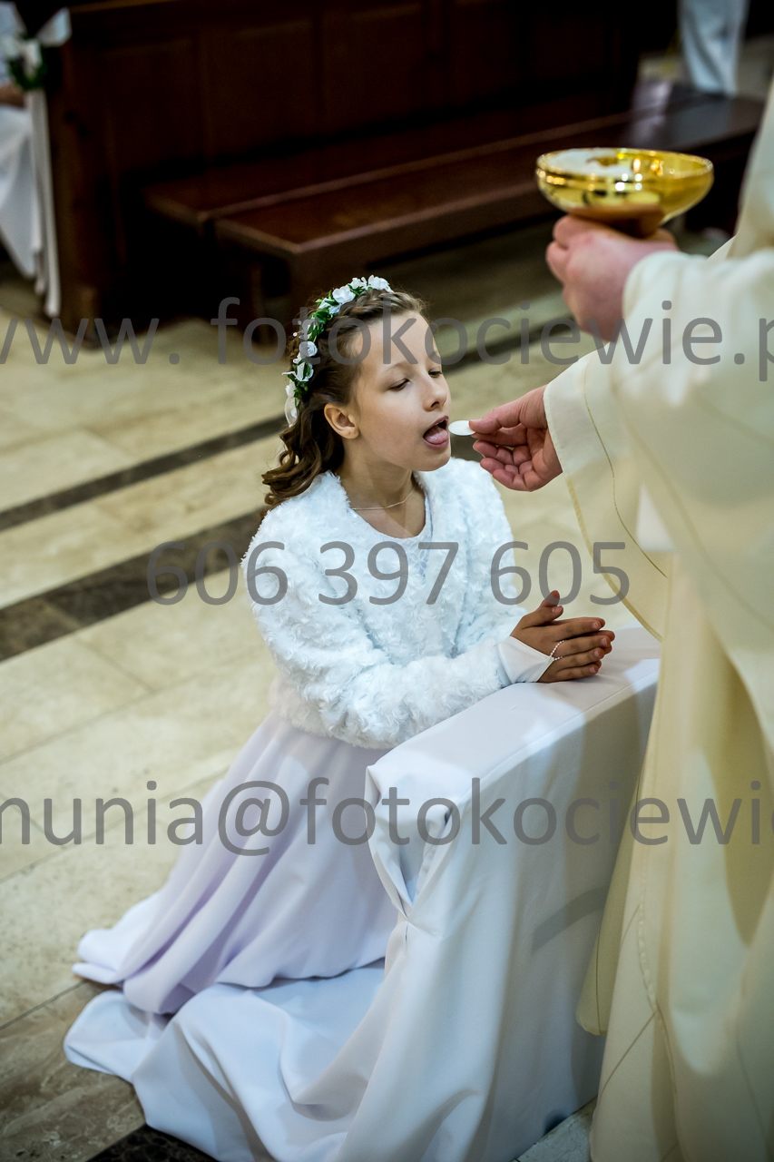 568_IMG_4667