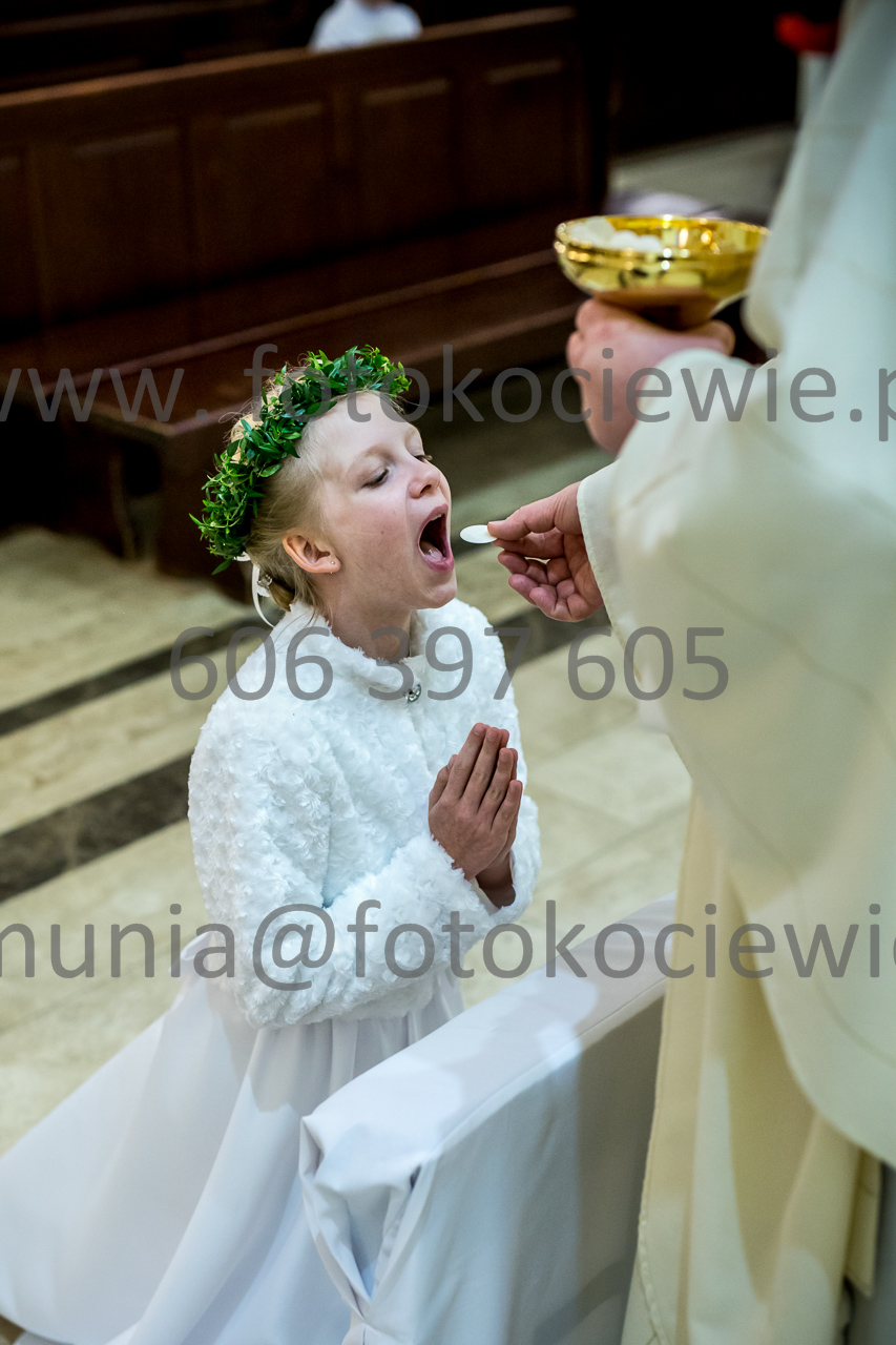 596_IMG_4694