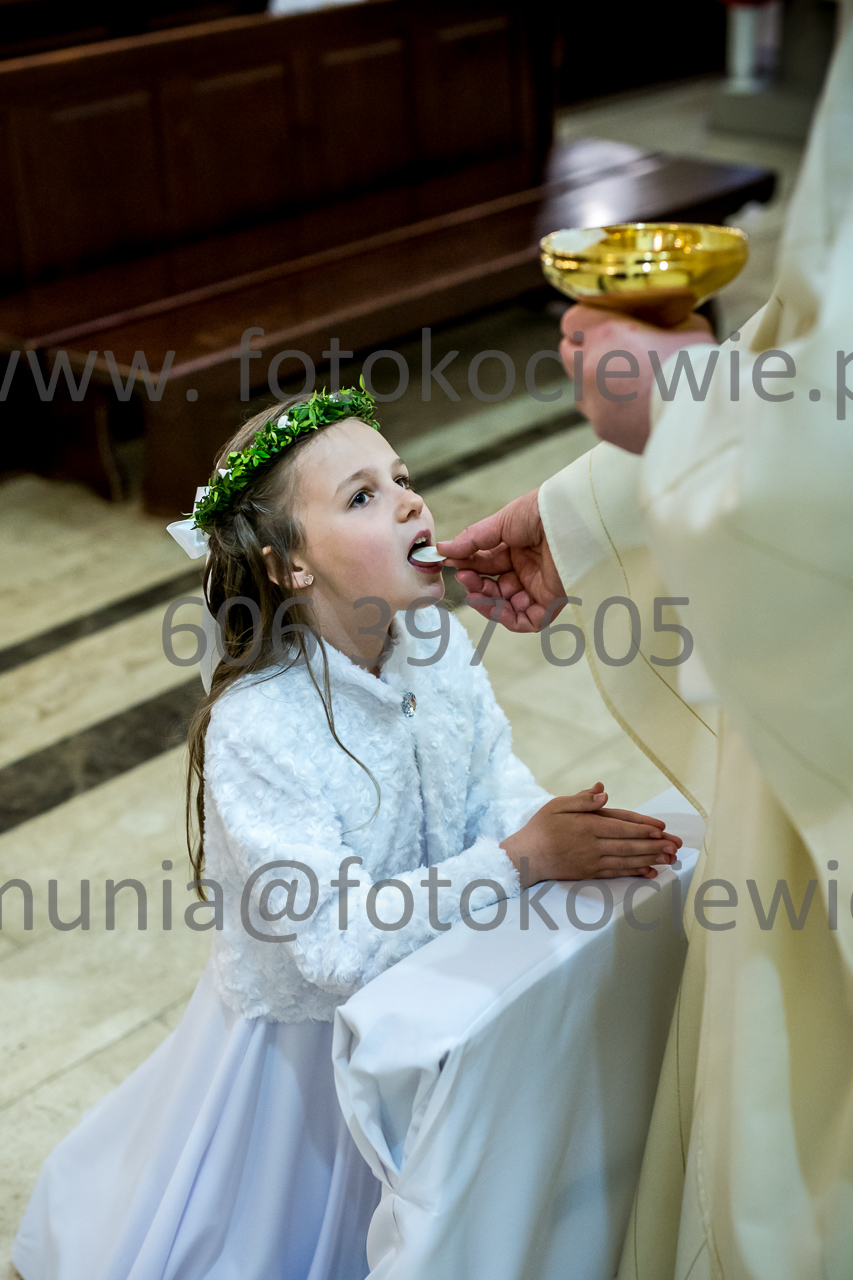 641_IMG_4739