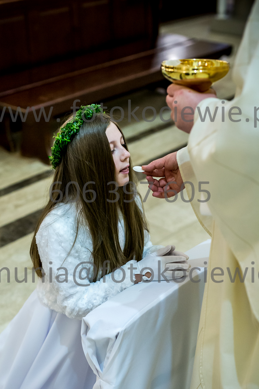 646_IMG_4744