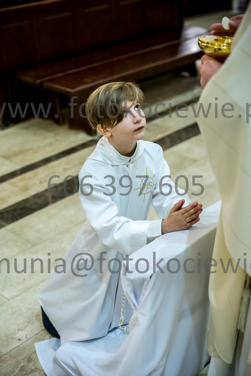 648_IMG_4746