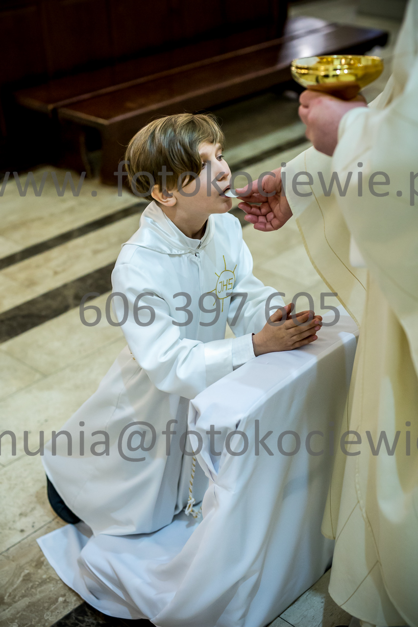 650_IMG_4748