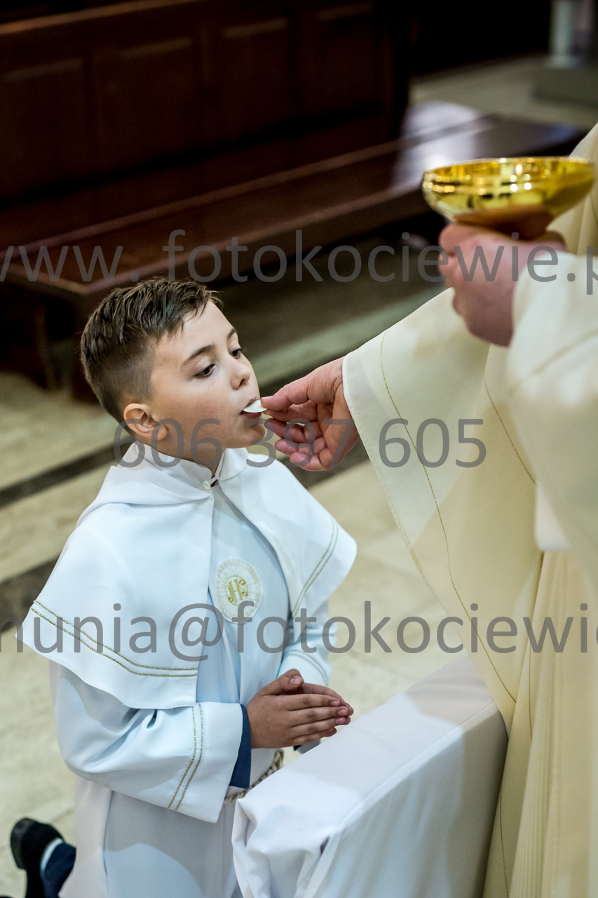 668_IMG_4766