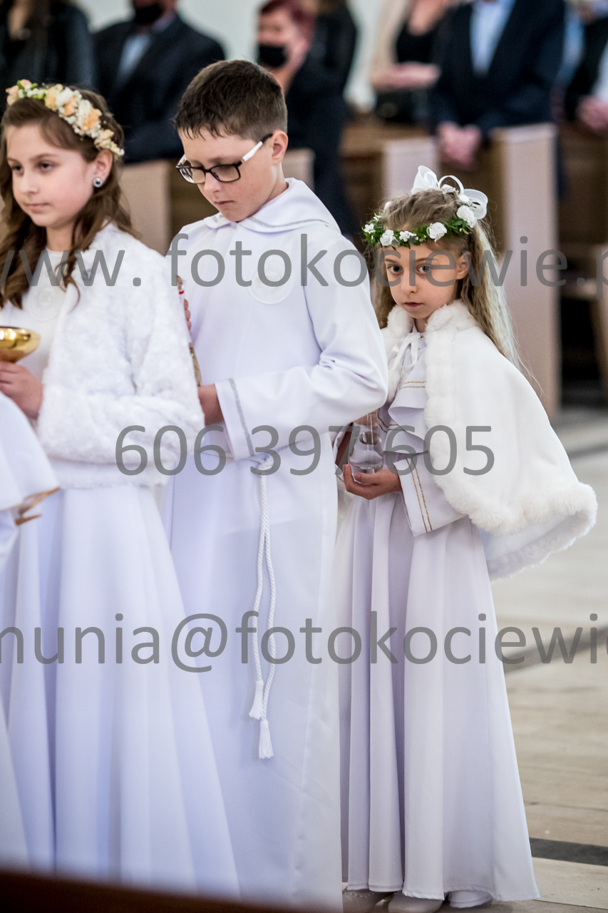 569_IMG_3913
